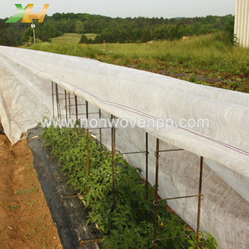 polypropylen spunbond nonwoven fabric